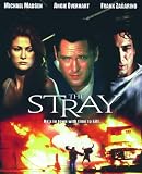 The Stray