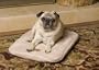 Precision Pet� Snoozy Ortho Air Therapeutic Inflatable Pet Bed