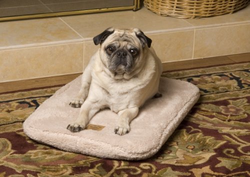 Precision Pet® Snoozy Ortho Air Therapeutic Inflatable Pet Bed