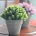 Velener Artificial Provence Flowers Arrangements in Pots for Home Decor (Green)