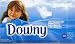 DOWNY　ダウニー　クリーンブリーズ　乾燥機用シート　80枚