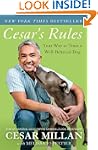 Cesar's Rules: Your Way to Train a We...