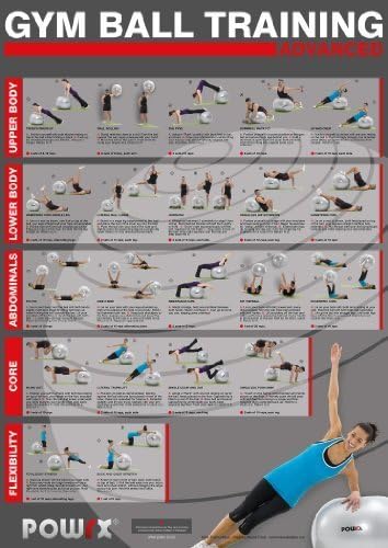 Gym Ball Training Chart , For an Advanced Total Body Workout ,20 different exercises, A1 size , high quality finish. by POWRX UK