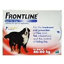 Frontline Spot On Dog 10% w/v Spot On Solution (XL Dog 40-60kg, 6 Pack)