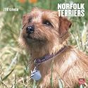 Norfolk Terriers 2010 Wall