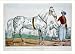 Historic Print (L): A correct likeness of Mr. H. Rockwell's horse Alexander: Bowery Amphitheatre, New York,