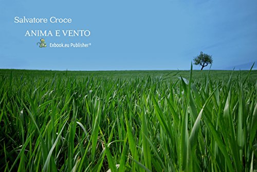 Anima e Vento (Italian Edition)