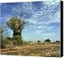 Israel Judea desert landscape Canvas Print - Canvas Art
