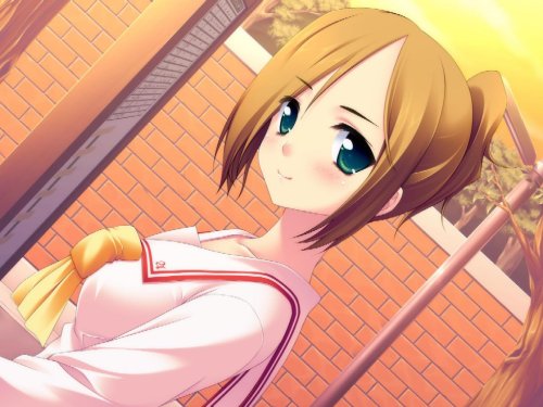 スイート ハニー カミング-イメージ