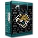 Jacksonville Jaguars NFL Medium Gift Bag (9.75" Tall)