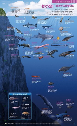 くらべる図鑑 (小学館の図鑑・NEOぷらす)