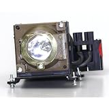 Liberty Brand Replacement Lamp for MITSUBISHI VLT-XD300LP including generic housing and brand new Generic lamp