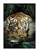 Bamboo by Renato Casaro poster print,23.5 in. x 31.5 in.