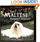 The Maltese : Diminutive Aristocrat