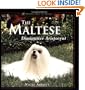 The Maltese : Diminutive Aristocrat