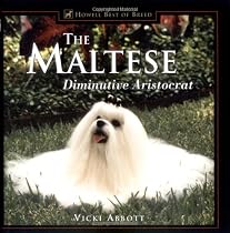 The Maltese: Diminutive Aristocrat