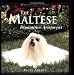 The Maltese : Diminutive Aristocrat