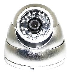 1/3" Sony CCD 420TVL 24-LED IR Infrared Vandal-Proof Dome Camera BLACK