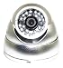 1/3" Sony CCD 420TVL 24-LED IR Infrared Vandal-Proof Dome Camera BLACK