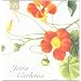 In Fr�hlingsn�chten: Roman
