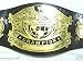 Sporting Goods : Authentic WWE Heavyweight Undisputed Replica Adult Belt