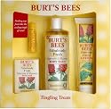Burts Bees Tingling Treats, 1.63 lbs Box
