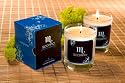 Zodiac Collection - Scorpio - Jasmine & Wild Citrus Soy Candle
