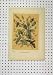 c1850 DEUTSCHE SCHWARMER COLOUR PRINT INSECTS PLANTS