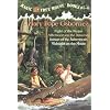 Magic Tree House Volumes 5-8 Boxed Set