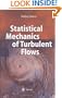 Statistical Mechanics of Turbulent Flows