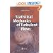 Statistical Mechanics of Turbulent Flows