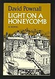 Light on a honeycomb : a novel