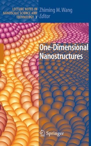 One-Dimensional Nanostructures: 3 (Lecture Notes in Nanoscale Science and Technology)