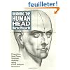 Drawing the Human Head