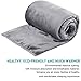MEROUS Twin Size Polar Fleece Bed Summer Blanket Warm Cozy Microfiber Fuzzy Soft Lightweight All Season Blankets for Couch Travel Sofa, Gray