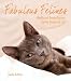norwegian forest - Fabulous Felines: Health and Beauty Secrets for the Pampered Cat