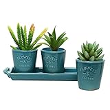 MyGift® Set of 3 Country Rustic Turquoise Ceramic Succulent Planters / Flower Pots & Handled Display Tray