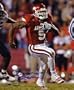 Darren McFadden Arkansas Razorbacks - Running - Autographed 8x10 Photograph