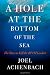 Image of A Hole at the Bottom of the Sea: The Race to Kill the BP Oil Gusher