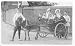 A Brief Guide to Family Tree Research