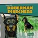 Doberman Pinschers (Tough Dogs)
