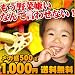 �ᑗ�������₨�q�l���N�G�X�g�E���Ő��ɕ���! 9��̐F�X �󂠂��؃`�b�v�X500g 1000�~�|�b�L�� ���� ����49%OFF
