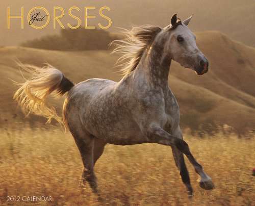 Horses 2012 Calendar (Just (Willow Creek))