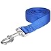ITERY Dog Leash Pet Durable Leash Strap for Puppy Pet Leash Rope 6-feet Long 1” Wide (Blue)