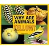 Why Are Animals Yellow? (Rainbow of Animals)