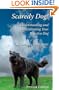 Scaredy Dog! Understanding and Rehabilitating Your Reactive Dog