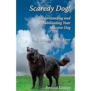 Scaredy Dog