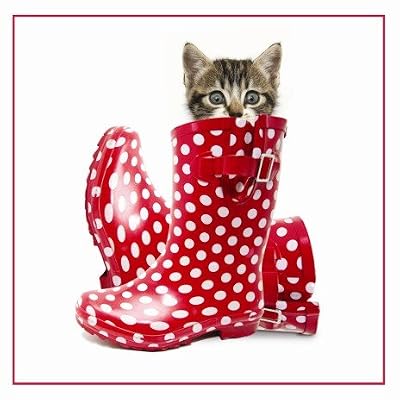 Puss in Boots Tabby Kitten Blank Card