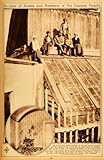 1922 Rotogravure Czar Nicholas II Russia Children Greenhouse Ekaterinburg USSR - Original Rotogravure