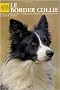 Le Border Collie